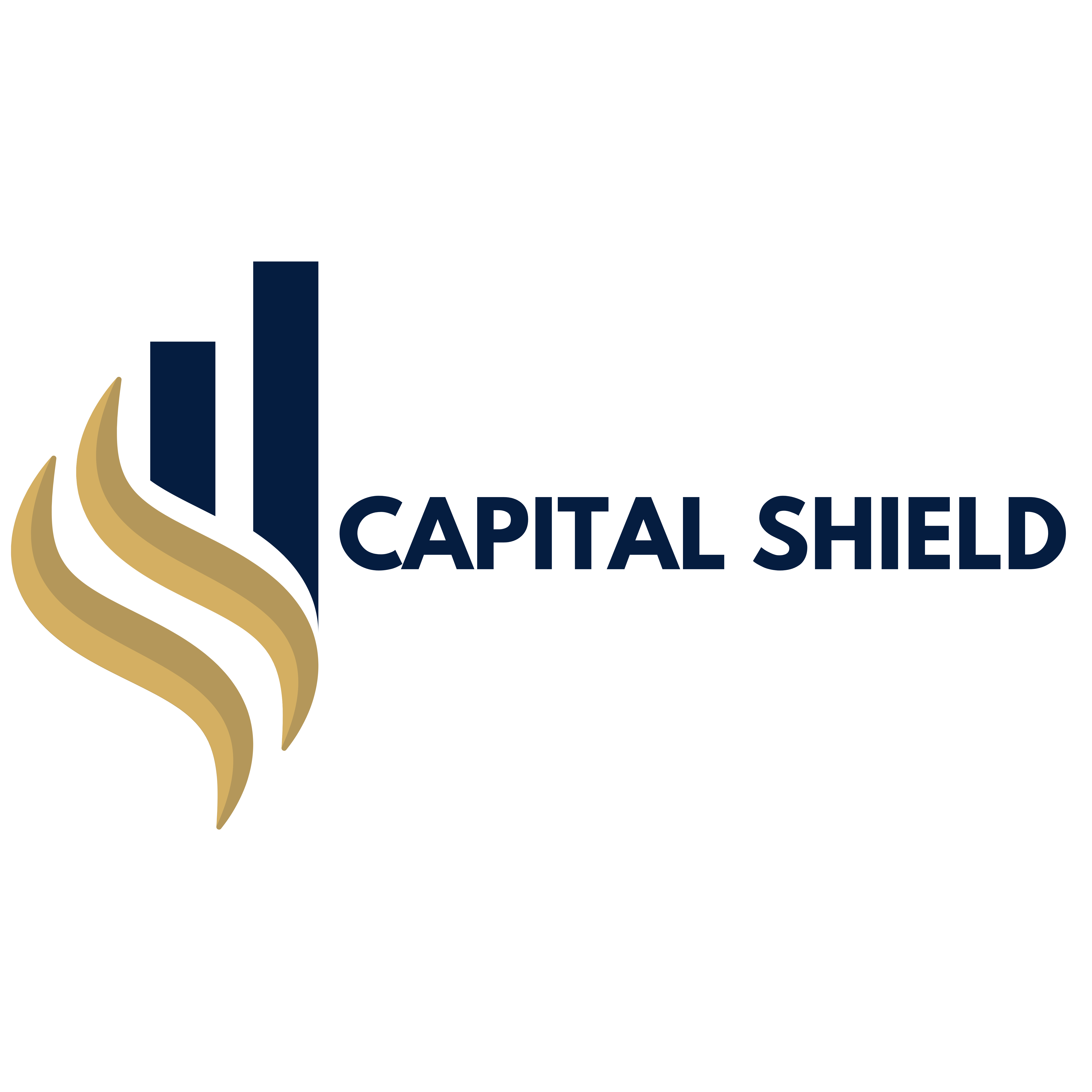 Capital Shield Law